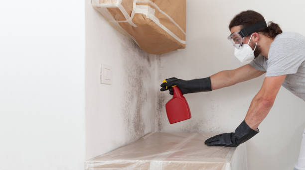 Professional Basement Mold Remediation technician working in Mount Holly, NC