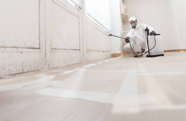 24/7 Emergency Basement Mold Remediation experts in Mount Holly, NC