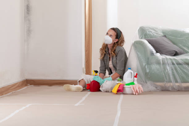 Reliable Basement Mold Remediation contractor in Mount Holly, NC by WQB Mold Removal